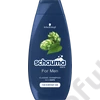 Kép 1/2 - Schauma Men sampon férfiaknak 400 ml
