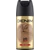 Denim Gold férfi deo spray