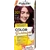 Palette Color shampoo hajszínező 4-99 bordóvörös